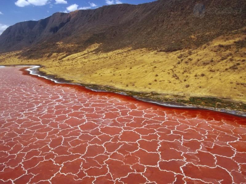 Lago Natron, Tanzania