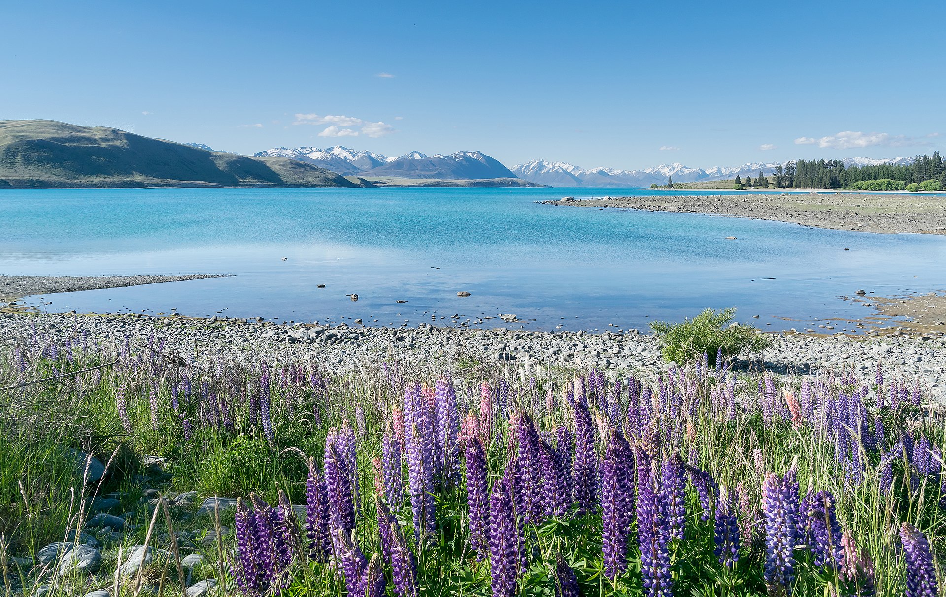 laketekapo01