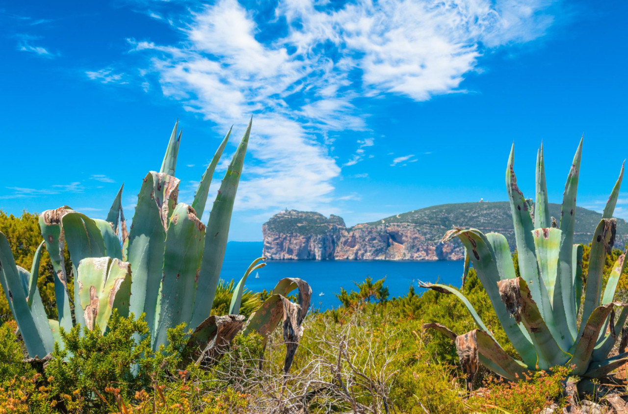 landscape coast capo caccia sardinia