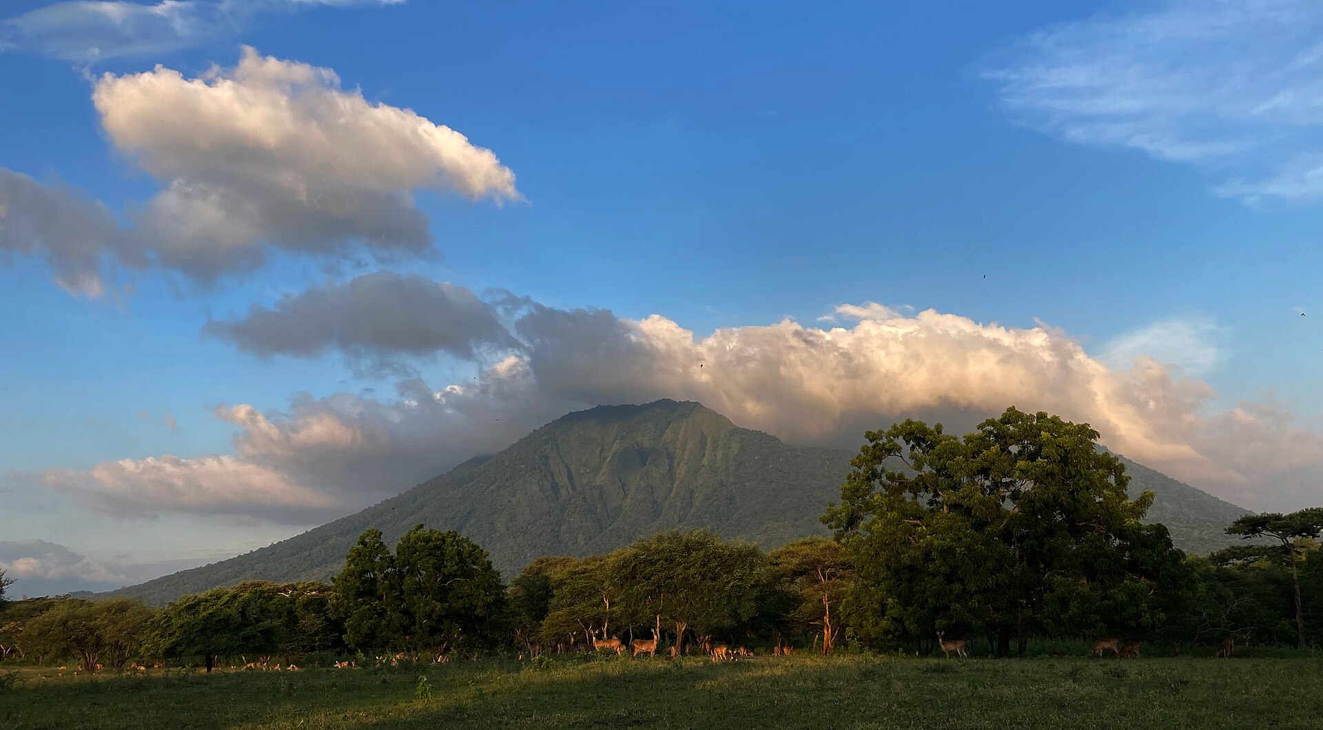 landscape gunung baluran taman nasional baluran