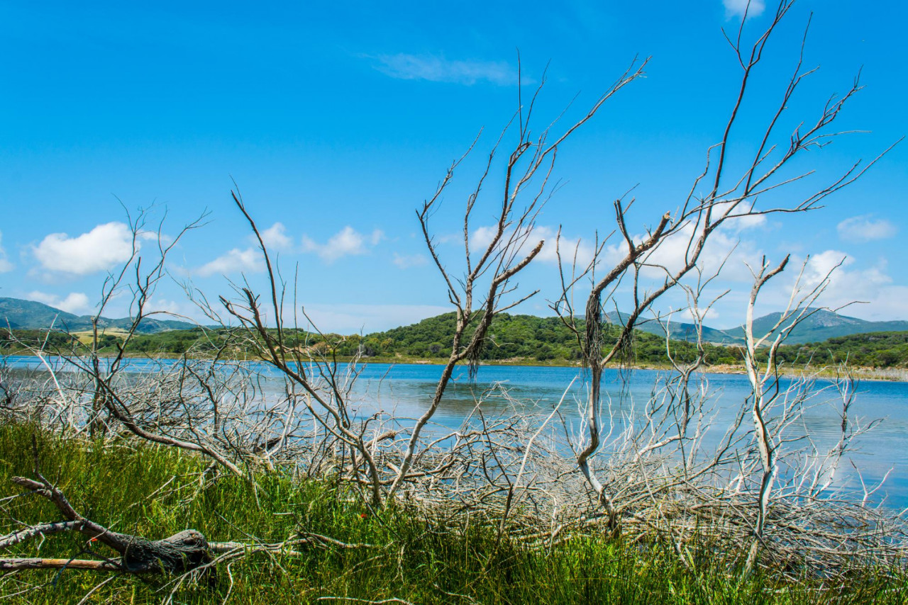 landscape lake baratz