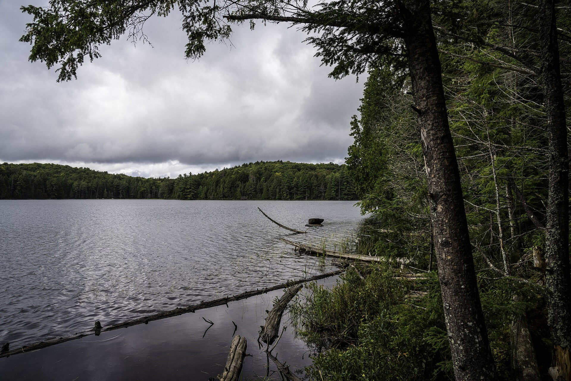 landscape of jack lake in algonquin provincial park ontario