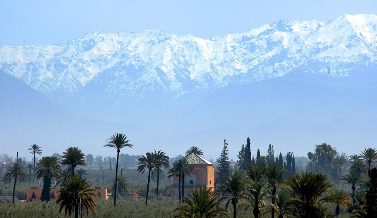 landscape of palm trees and the atlas mountains in marrakech morocco 1