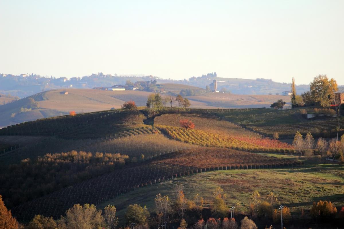 langhe unesco barolo piemonte 1