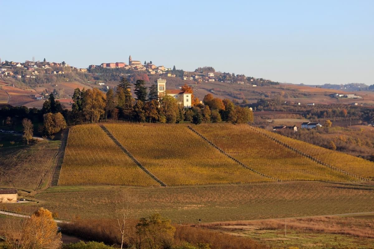 Langhe Unesco Barolo Piemonte Vino