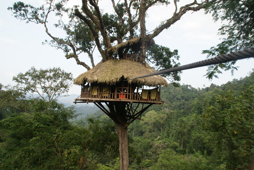 laos gibbon experience