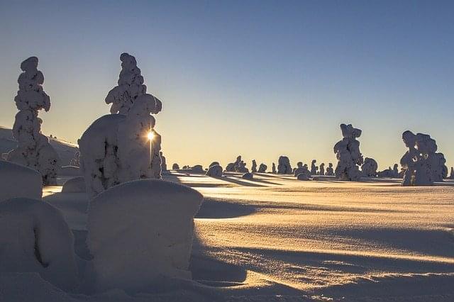 lapponia inverno neve paesaggio