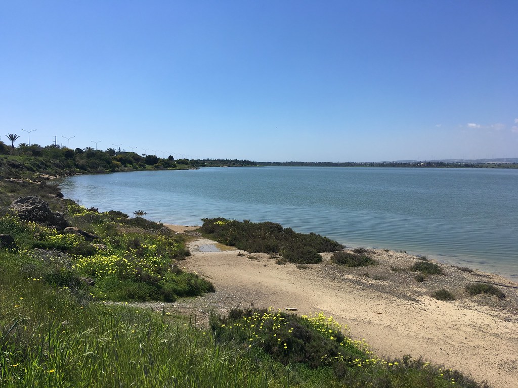 larnaca