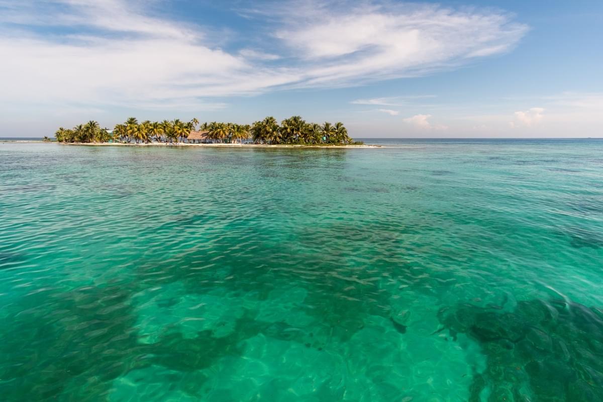 laughing bird caye coral