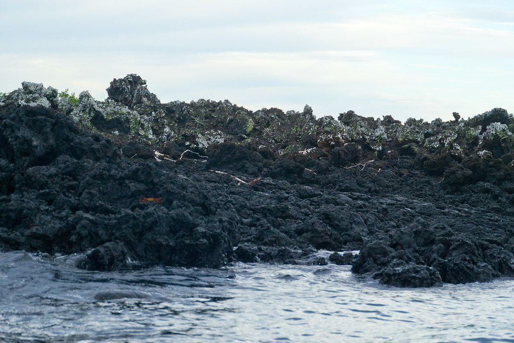 lava fields puerto villamil isabela island galapagos