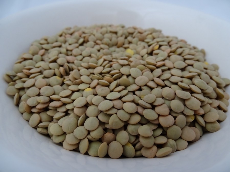 lenticchie di la armuna salamanca spagna