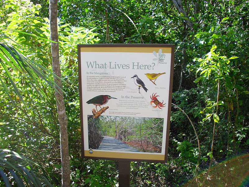 leon levy nature preserve what lives here eleuthera