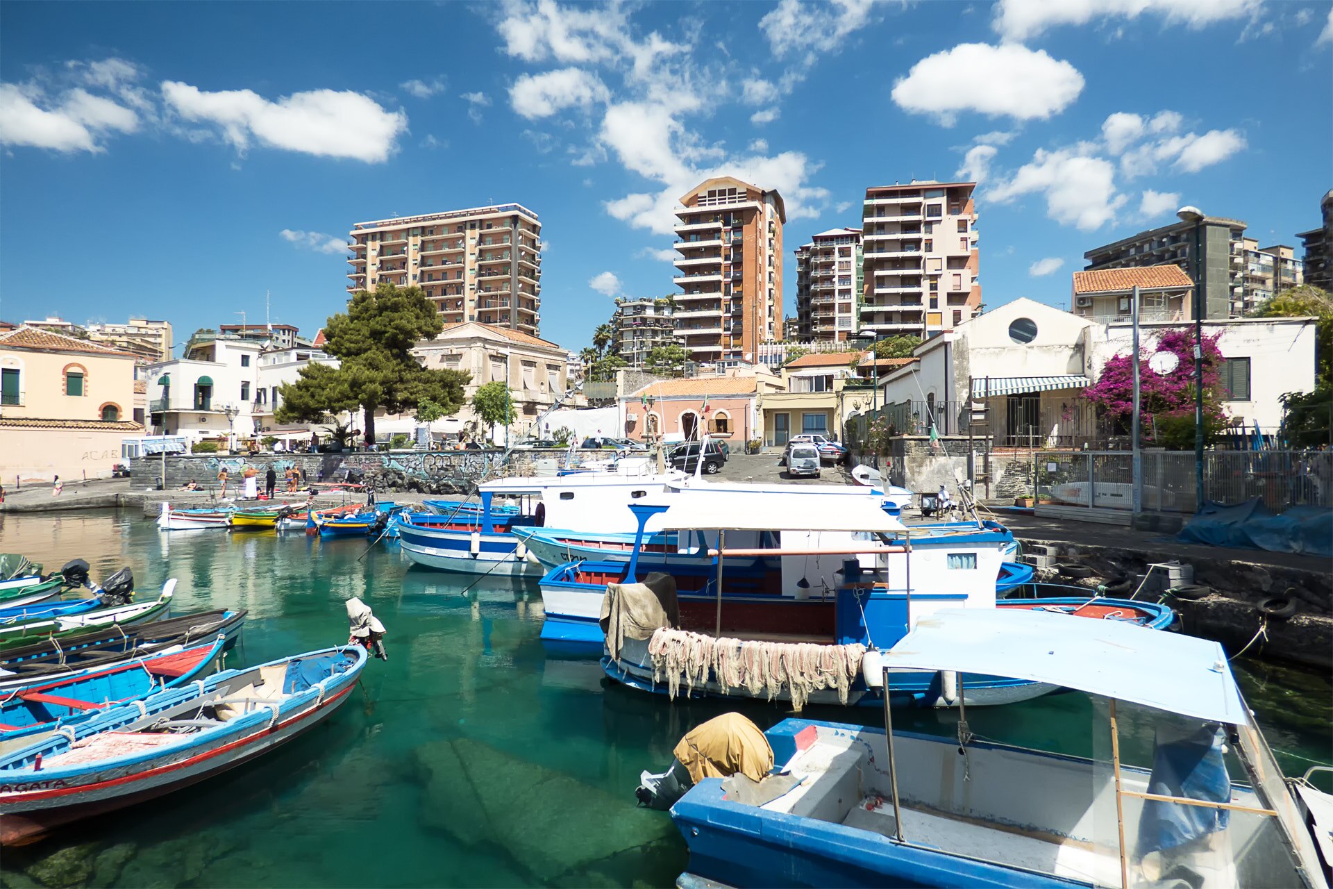 licuticatania 246315011