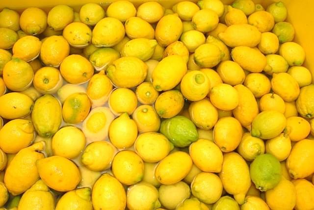 limoni sorrento italia limoncello 1 1
