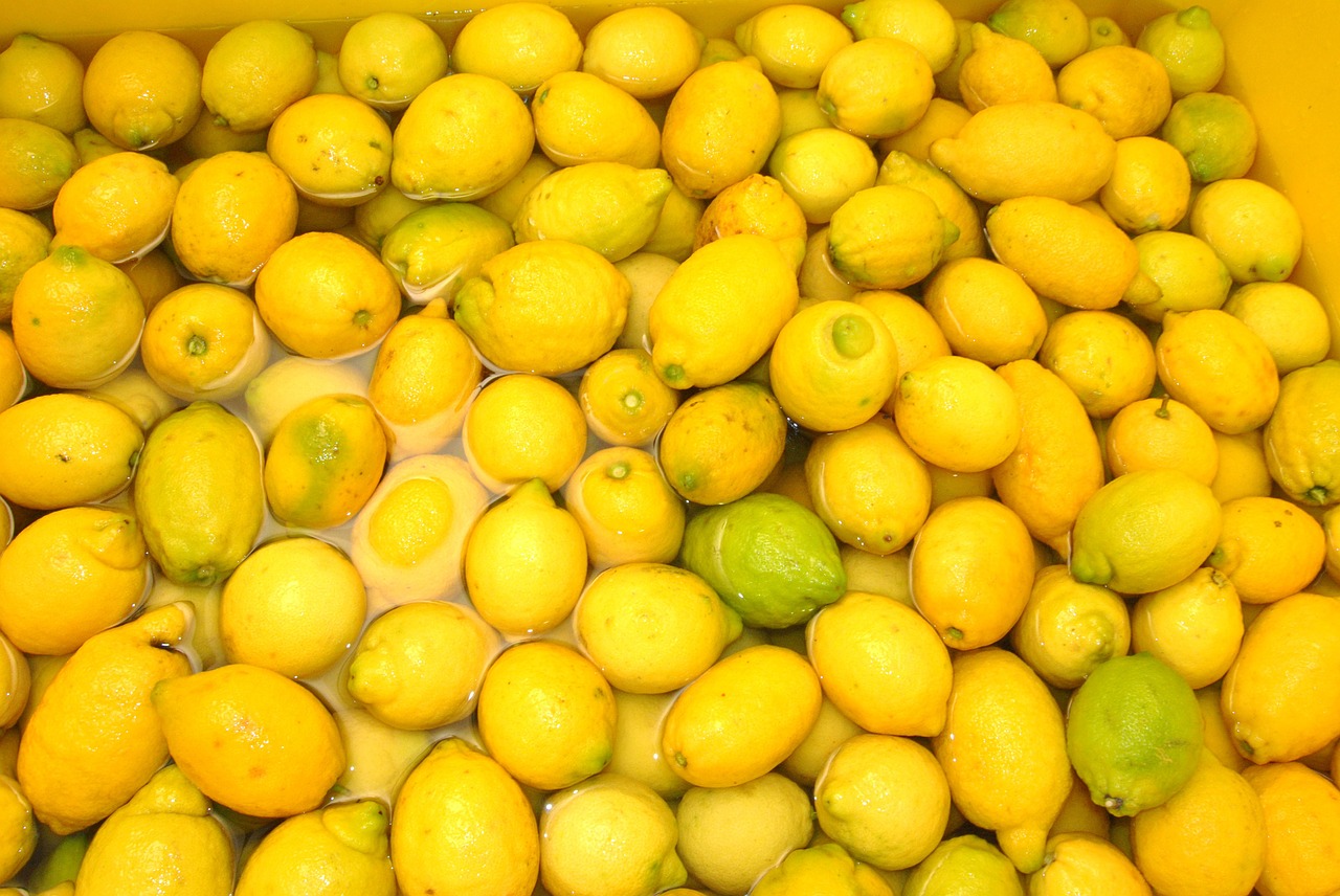limoni sorrento italia limoncello