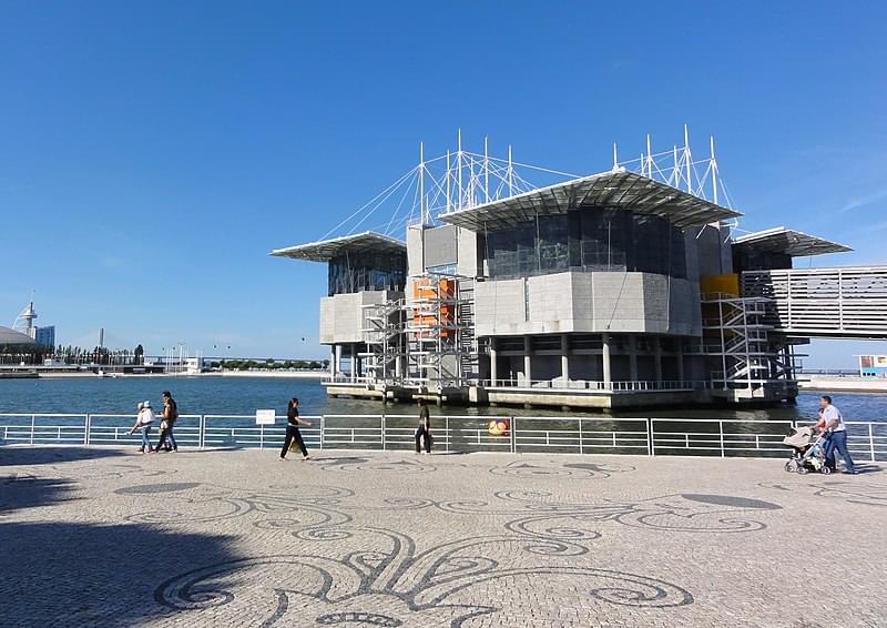 lisboa oceanario 1