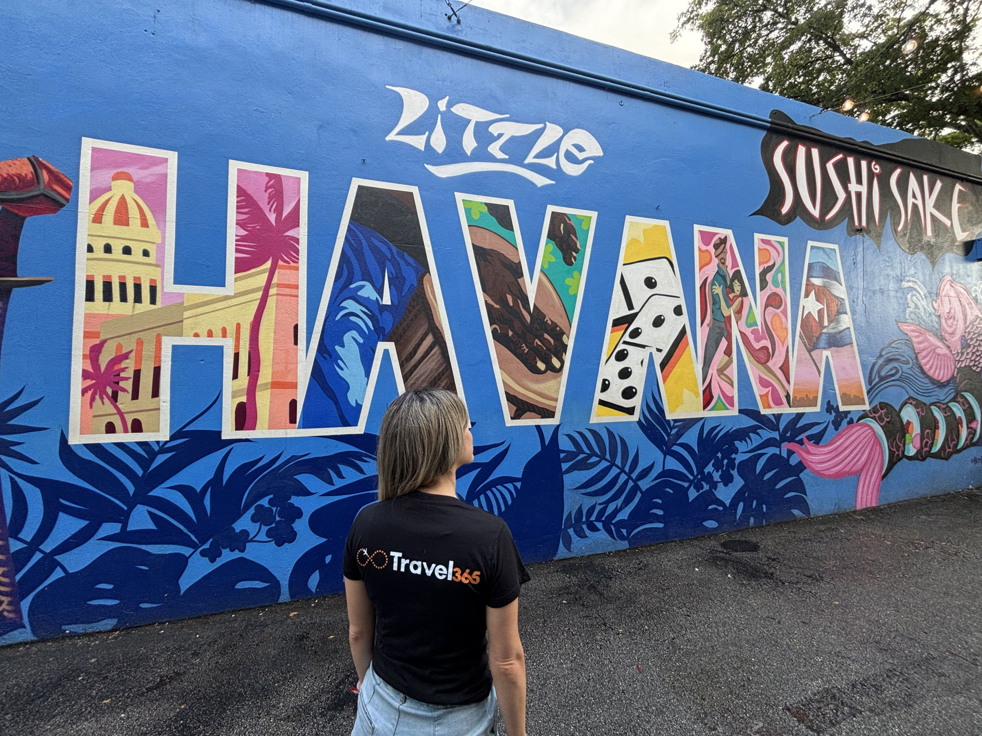 little havana risultato
