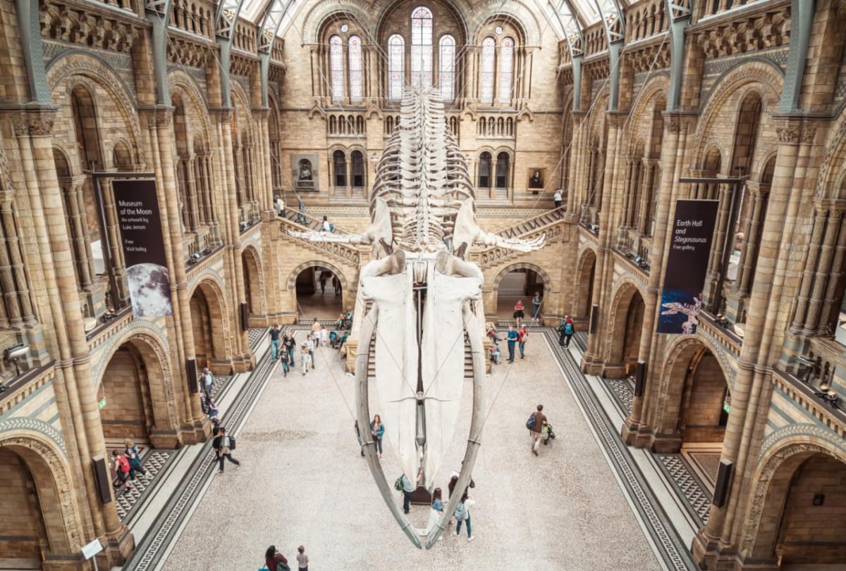 london sep 4 2019 people visit natural history museum london