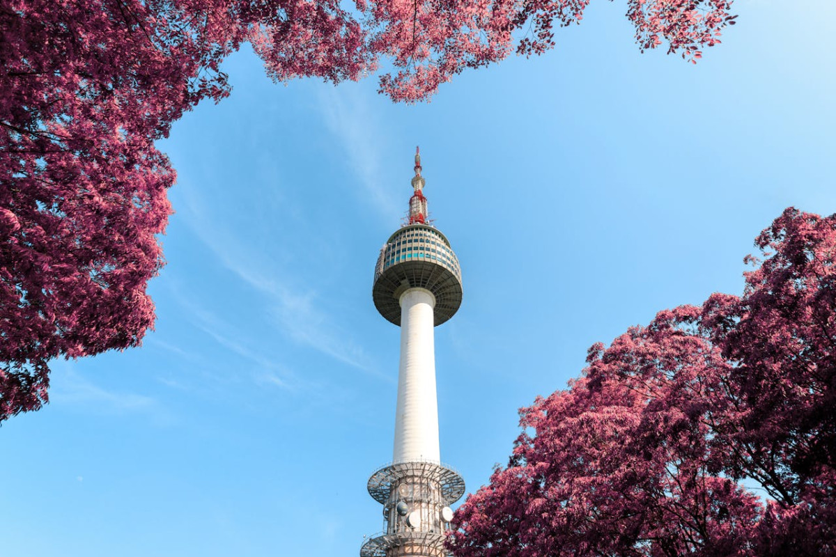 low angle photo of n seoul tower 4 1