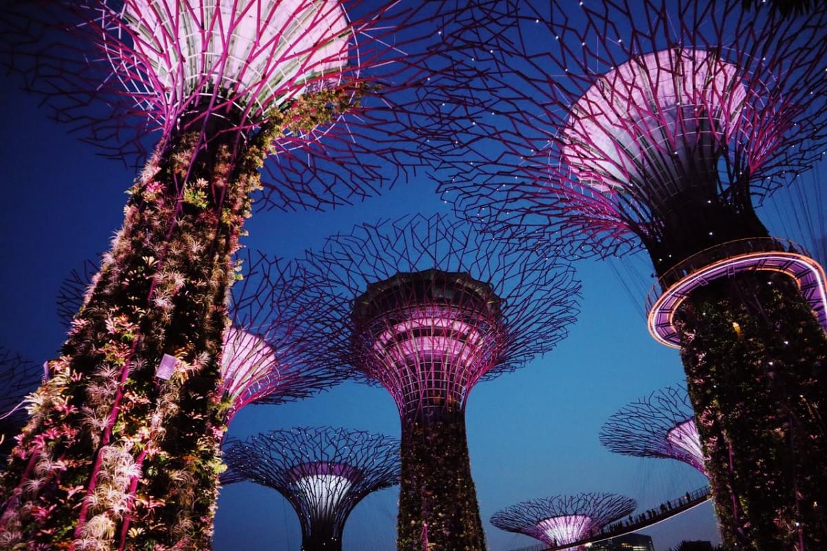 low angle photography of gardens by the bay