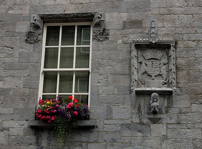 lynch castle finestra