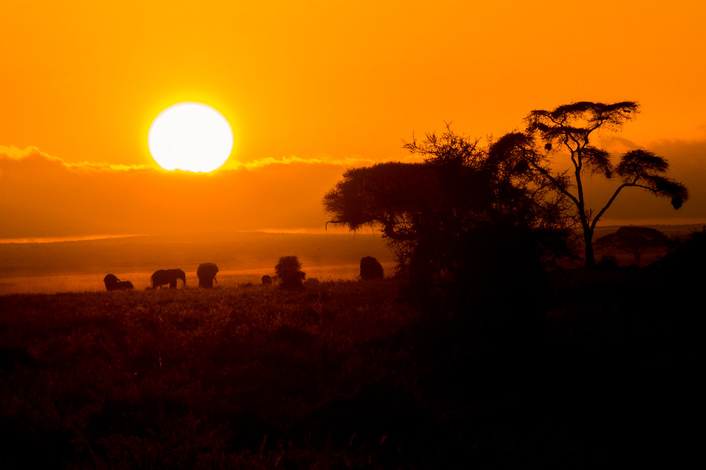 Maasai Mara