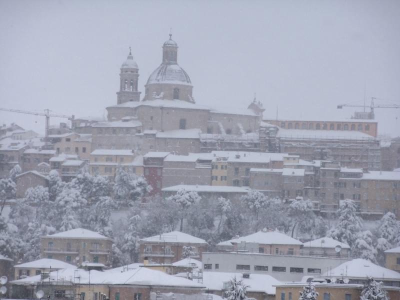 10 - Macerata, 47 cm