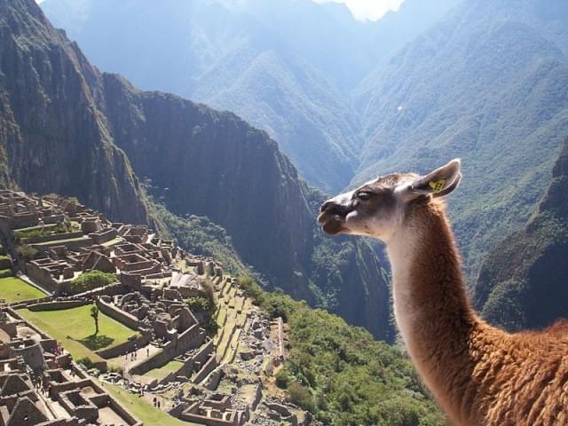 machu picchu cosa vedere