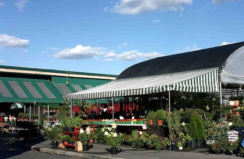 marche jean talon esterno