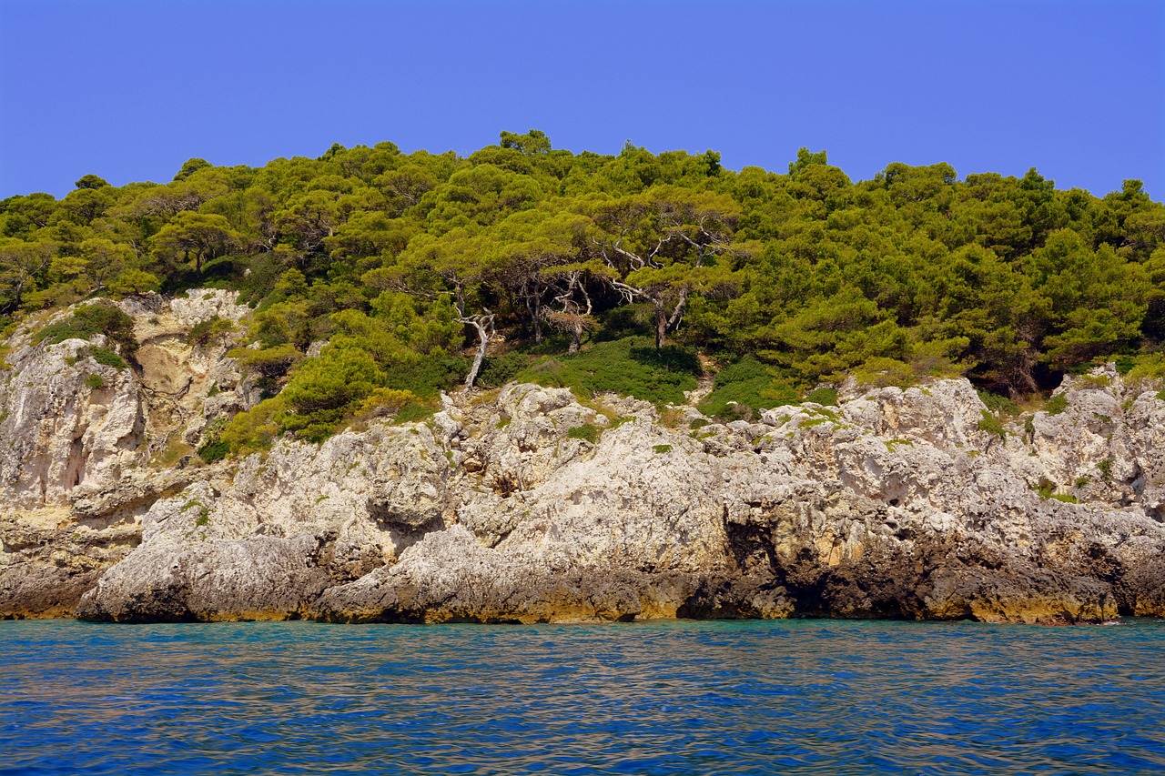 mare montagna scogliere alberi