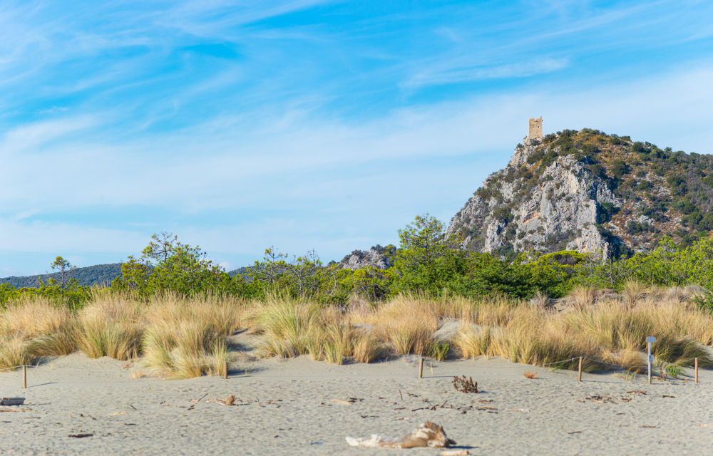 maremma nature reserve tuscany italy