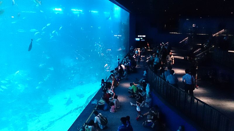 04 marine life park