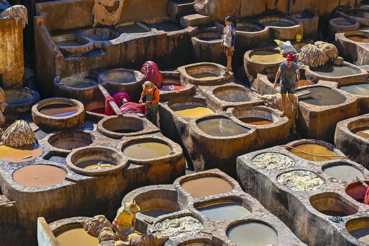 marocco curtiduria pelli conceria