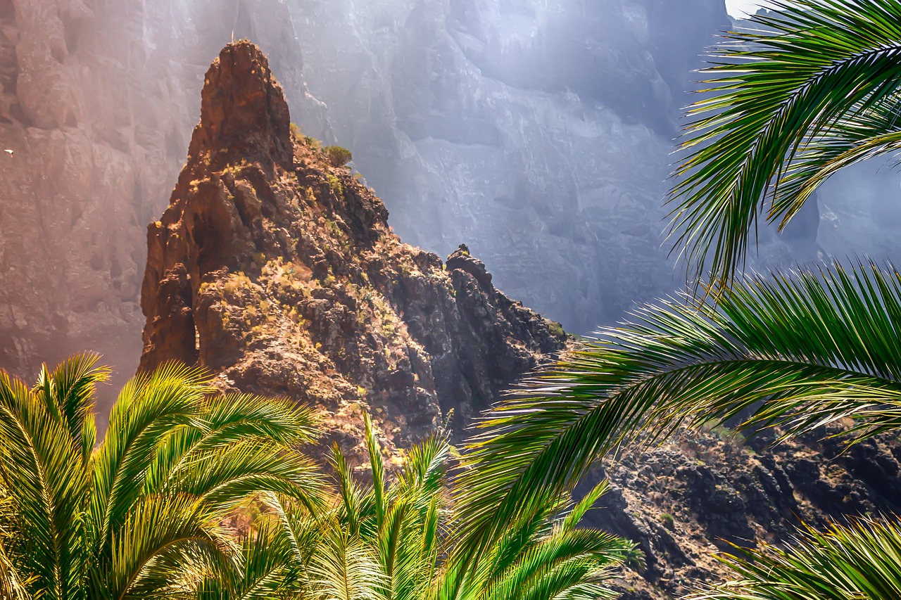 masca tenerife isole canarie 2 1