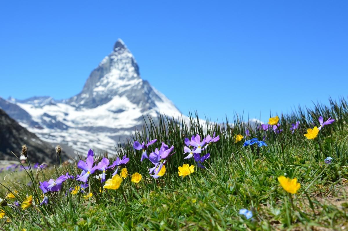 matterhorn alpine zermatt montagne