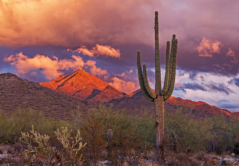 mcdowell mountains