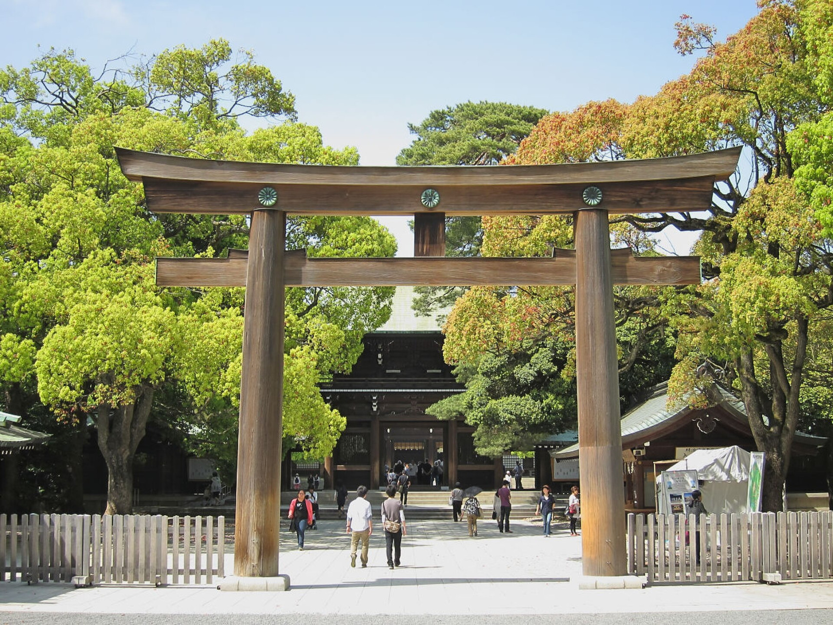 meiji jingu shrine 01