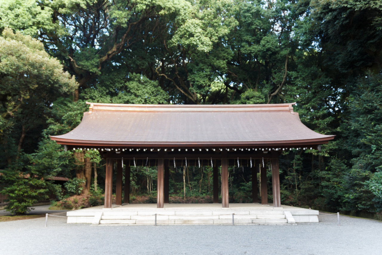 meji jingu shrine tree tokyo japan