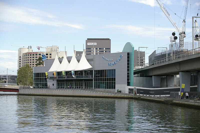 melbourne aquarium 1