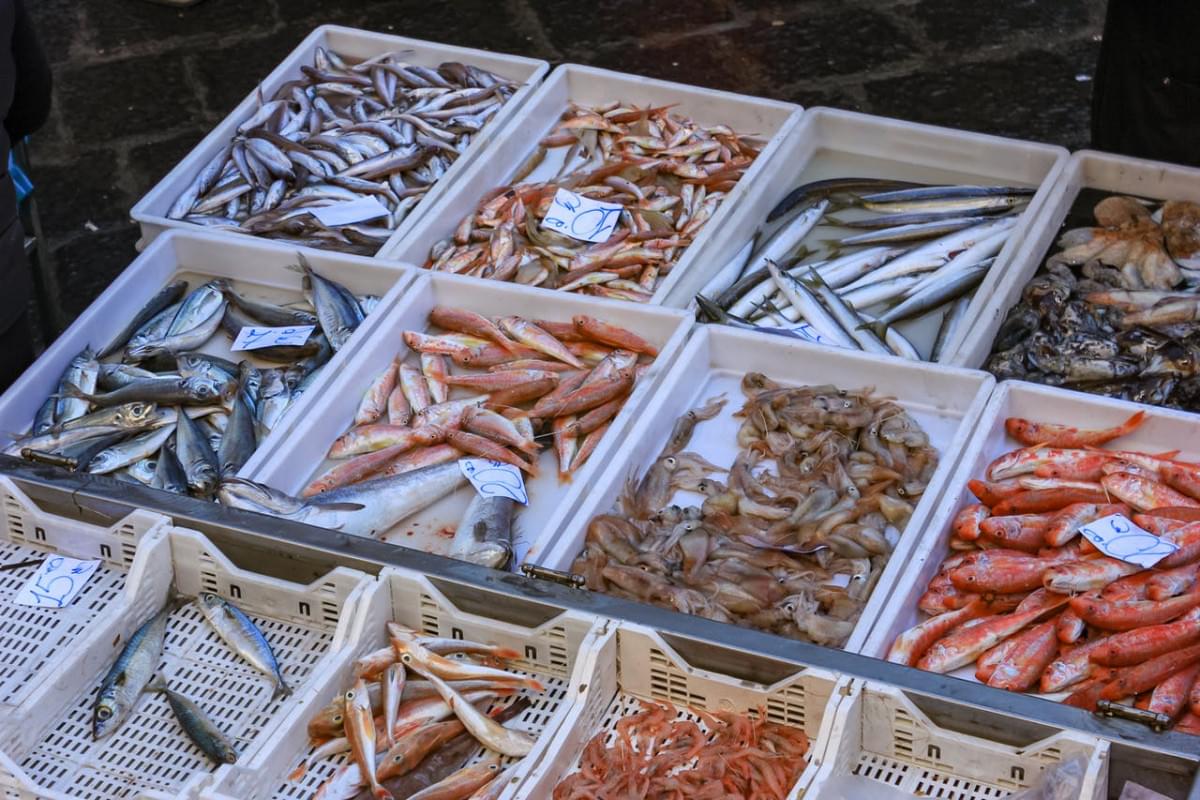 mercato pesce catania