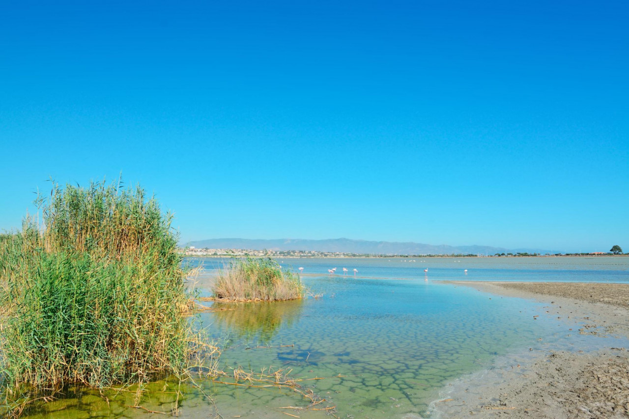 molentargius pond clear summer day