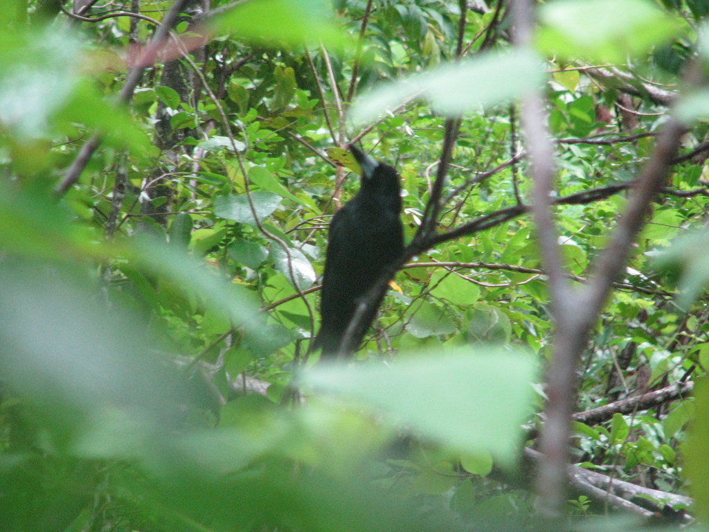 molle island national park