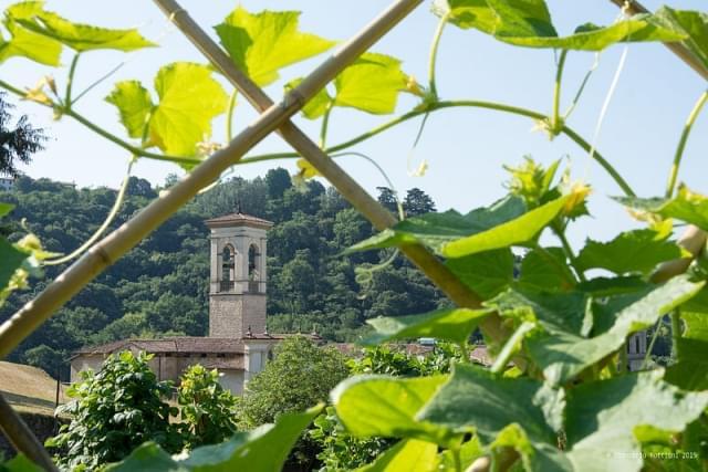 monastero di astino orto botanico