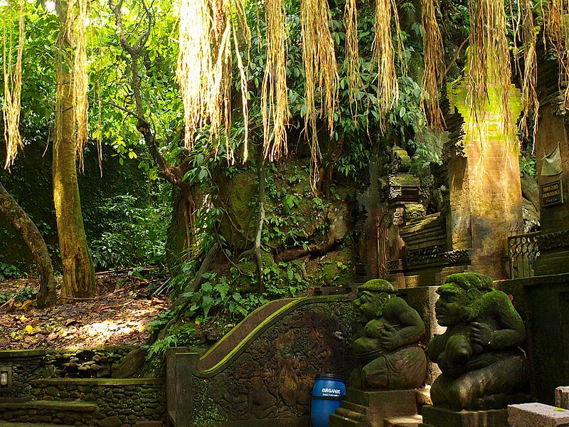 monkey forest ubud bali foresta scimmie