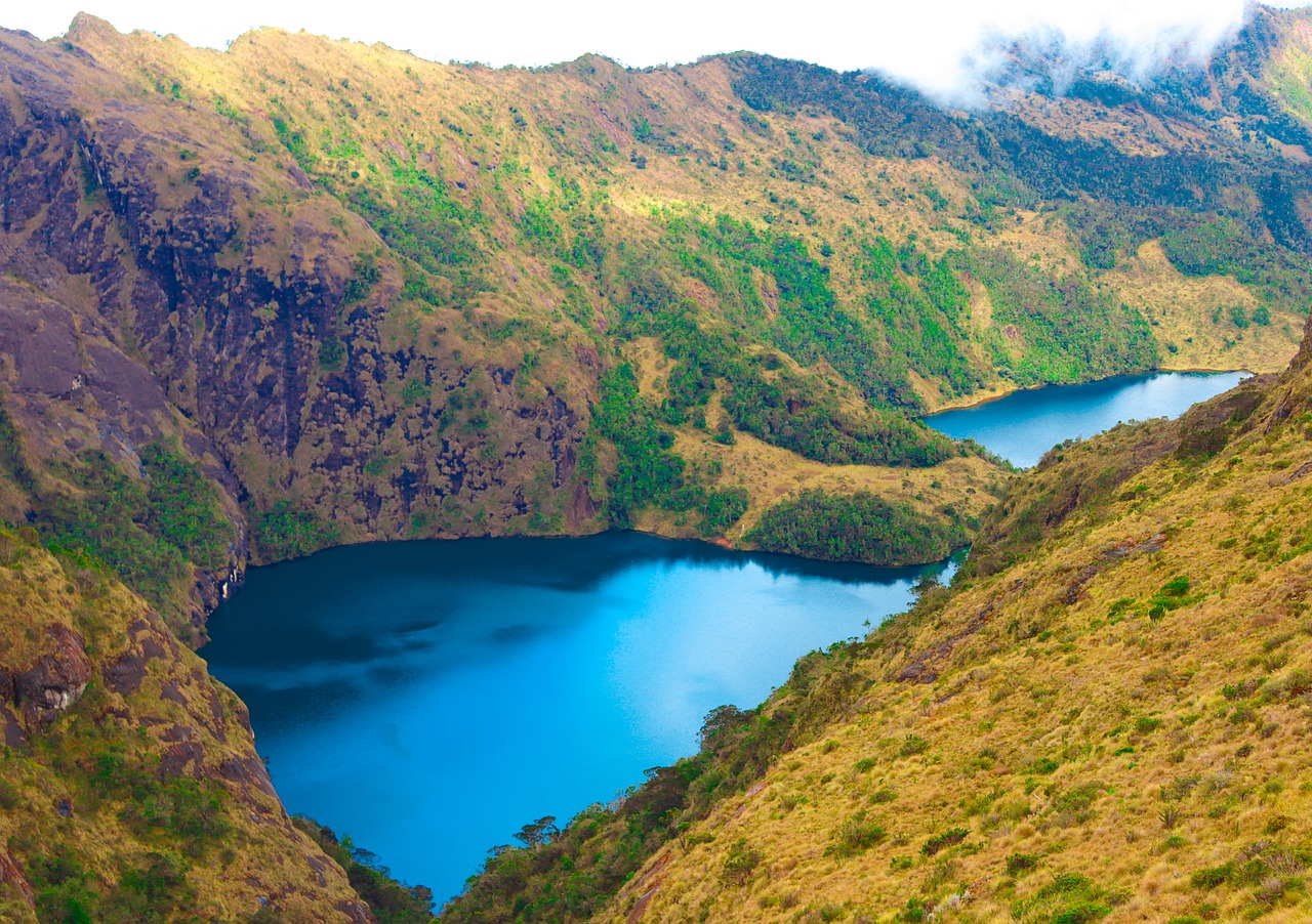 monta papua nuova guinea