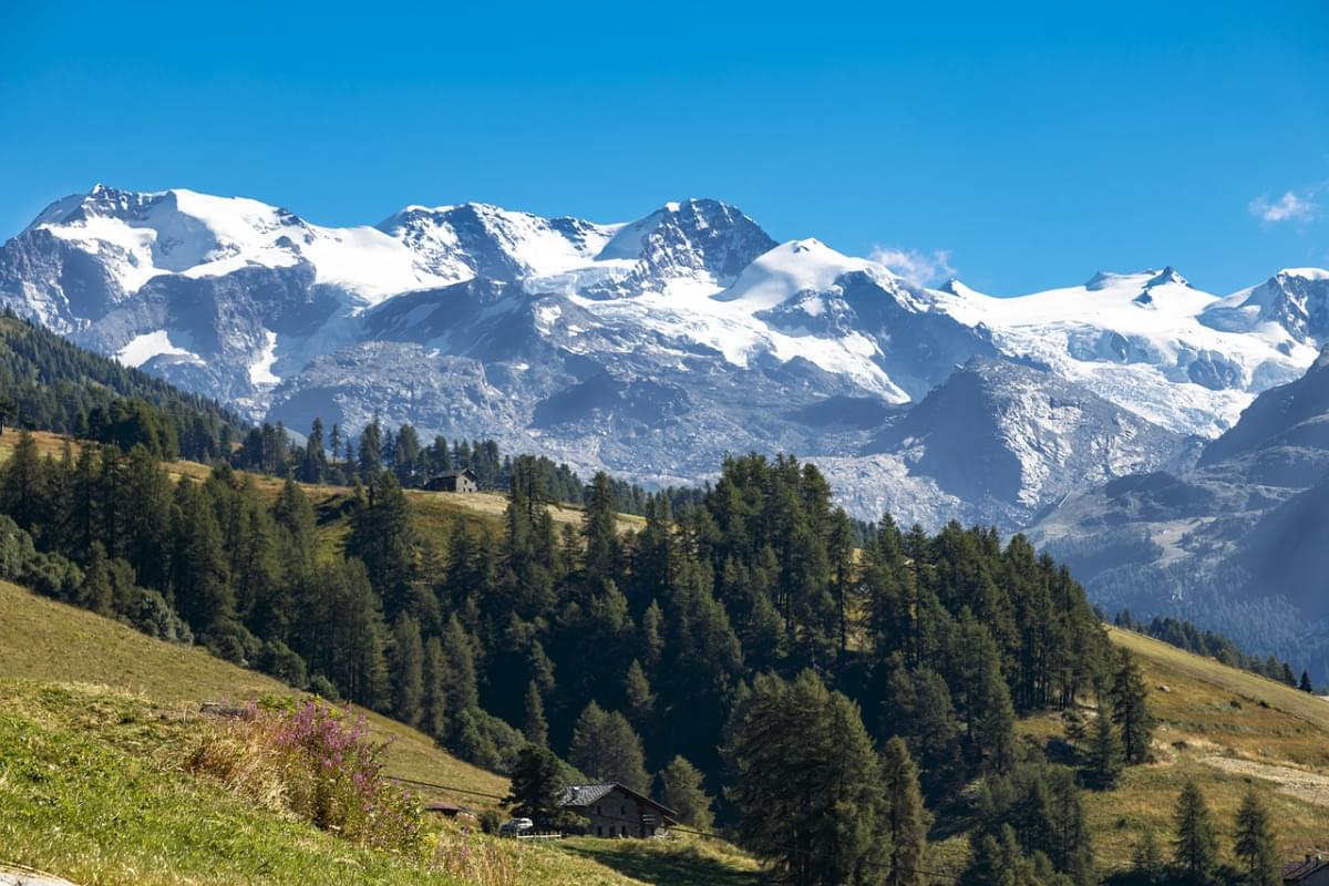 montagna champoluc neve pineta