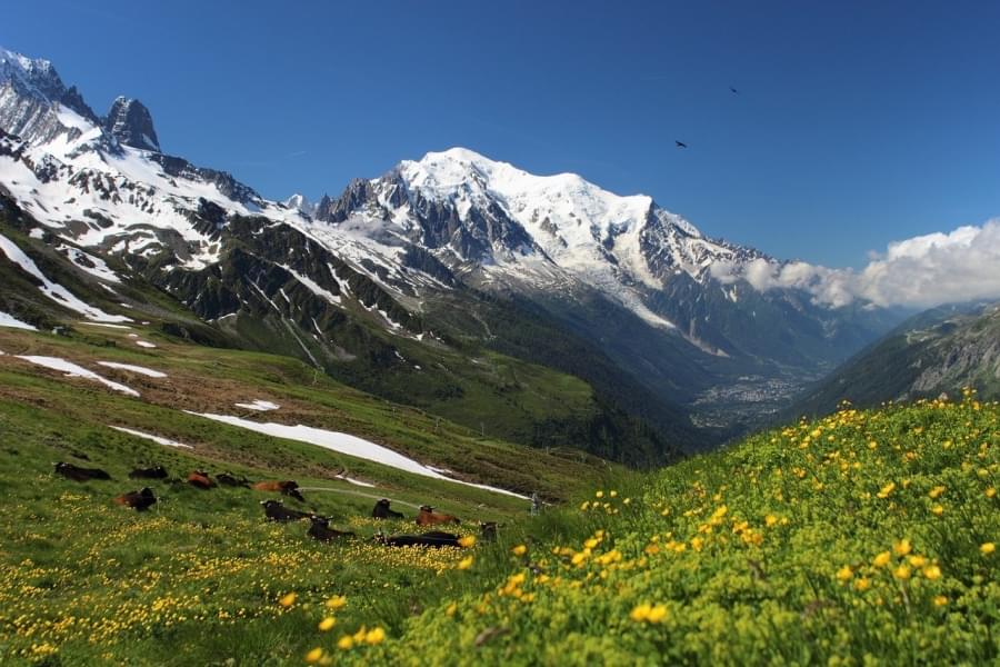 monte bianco tour