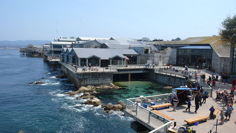 monterey bay aquarium