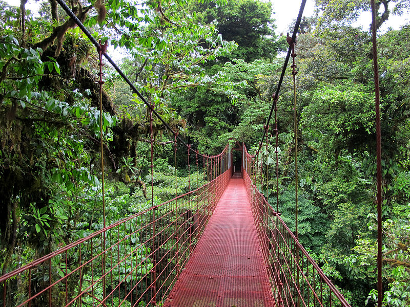 monteverde puente