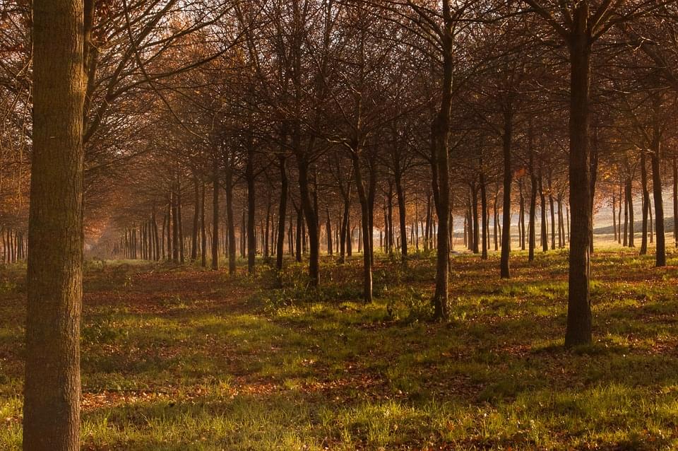 marche monti sibillini